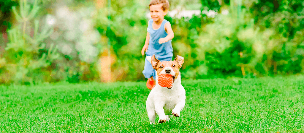 niño con perro en condominio