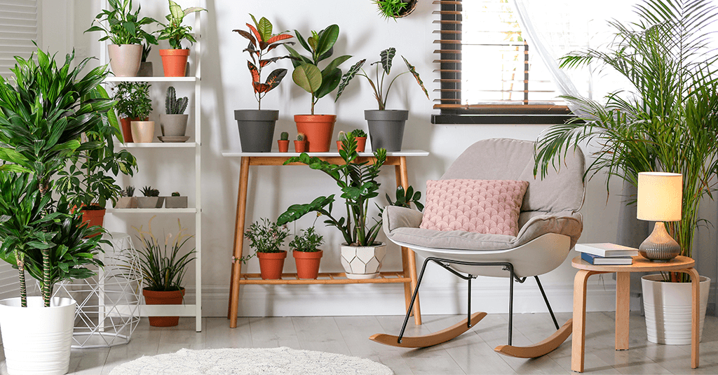decora_con_plantas_flores