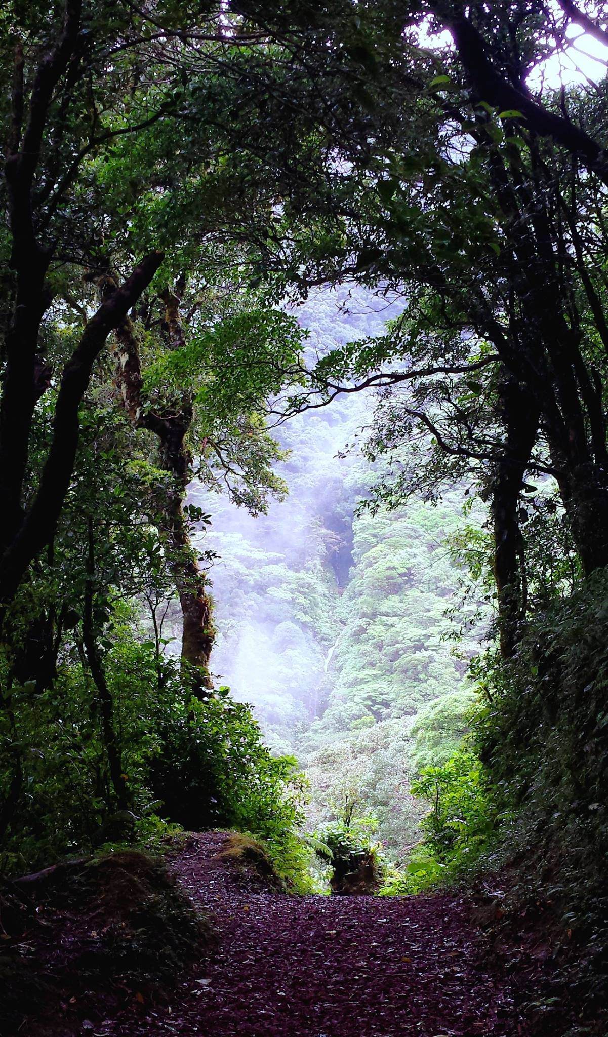 bosque-caricias-san-isidro