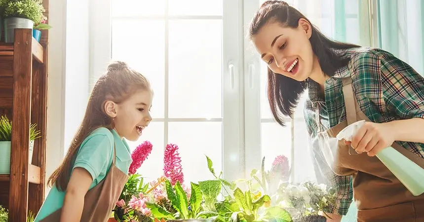 Cómo empezar un jardín